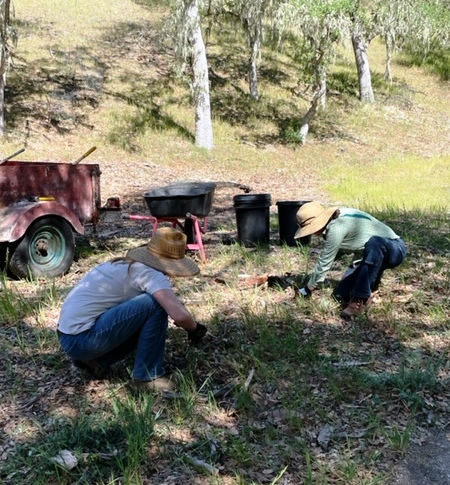 Meg and Zarah pulling some invasive thistle!